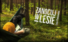 Ankieta dla użytkowników Programu „Zanocuj w lesie”