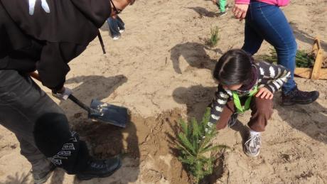 Wspólne sadzenie z leśnikami